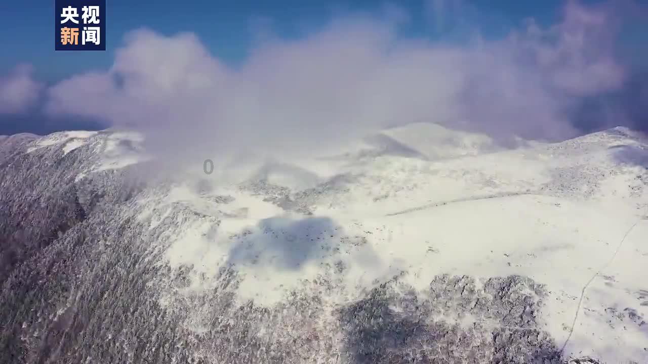 爱丽丝和闺蜜