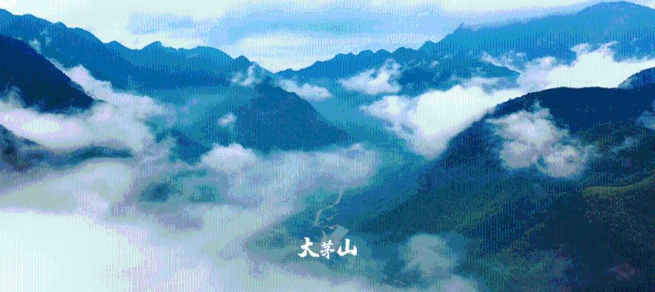 逗小猴开心系列179